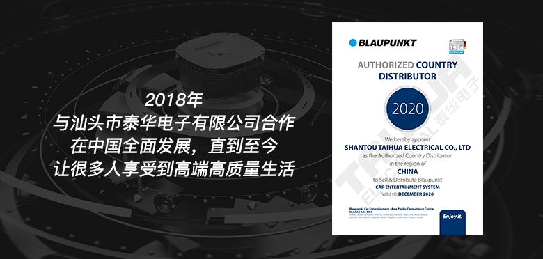 德國（藍寶BLAUPUNKT）MPS 1802 CVW大眾專用8寸喇叭